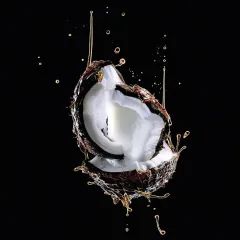 Loreal Elseve Extraordinary Oil Coconut Hair Mask thumbnail 4