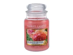 Yankee Candle Sun-drenched apricot rose thumbnail 1