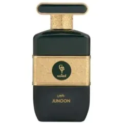 Hamidi Junoon thumbnail 2