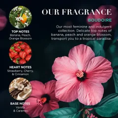 Baylis & Harding Boudoire Gift Set - Tropical Paradise 3 × thumbnail 3