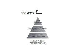 Maison Berger Paris Antiodour Tobacco Car Diffuser Recharge/Refill 2 pcs thumbnail 2