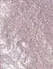 Revolution Eye Light Metallic Eyeshadow thumbnail 2