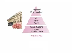 Maison Berger Paris Replacement refill for car diffuser Chic Paris Paris Chic (Car Diffuser Recharge/Refill) 2 pcs thumbnail 2