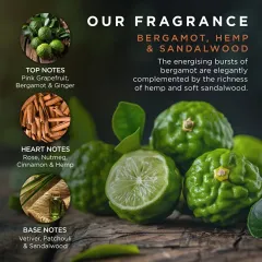 Baylis & Harding Bergamot, Hemp & Sandalwood Body Care Gift Set thumbnail 4