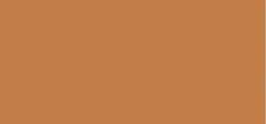 Shiseido Shiseido Synchro Skin Radiant Lifting Concealer 304 2,7g thumbnail 2