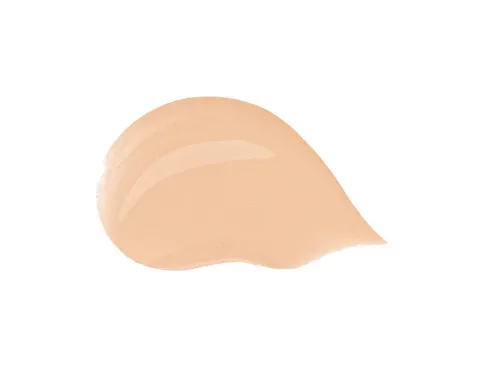 Hydrating tinted cream (Blueberry Nutri-Tint) 30 ml - 16N