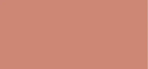Matte lipstick L´Absolu Rouge Drama (Matte Lips tick ) 3,4 g - 217 Nude Shot